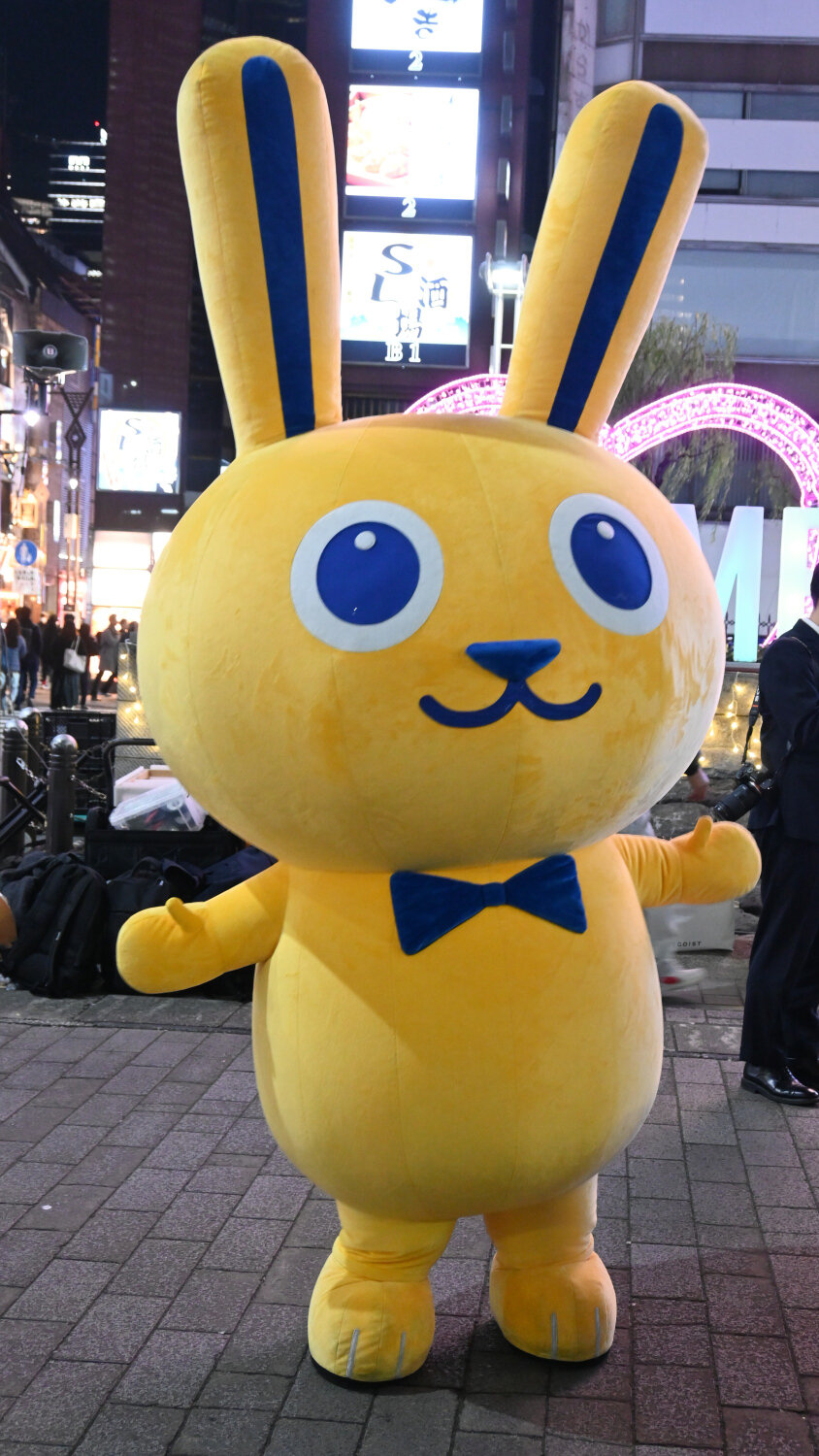 こくみんうさぎ　inしんばし